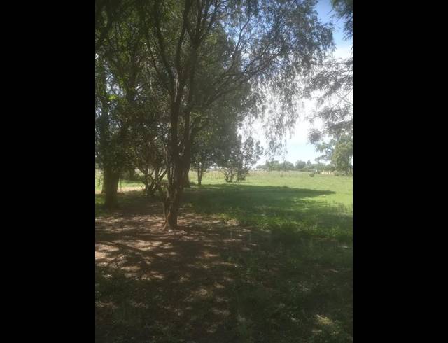 FARM FOR SALE IN ROODIA